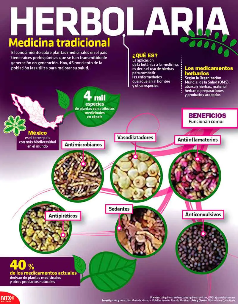 Medicina tradicional y herbolaria