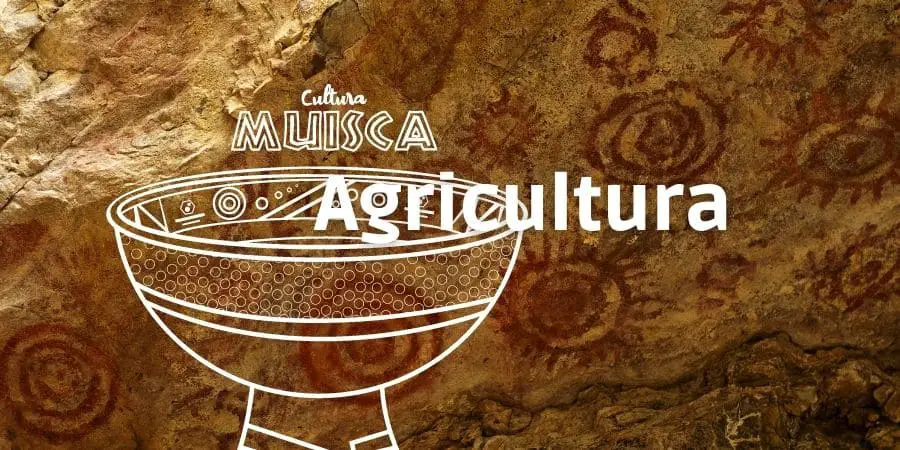 Cultura Muisca y agricultura