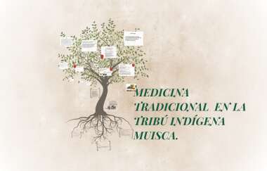 Hierbas medicinales Muisca