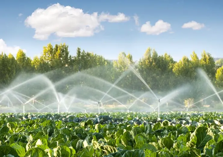 Irrigación y producción agrícola